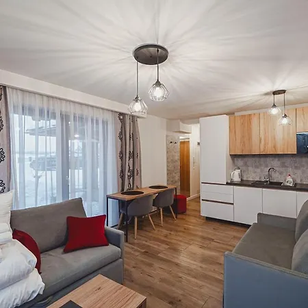 Apartamenty Sun & Snow Resorts E Bialka Tatrzanska Z Sauna Exterior photo