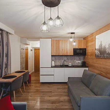Apartamenty Sun & Snow Resorts E Bialka Tatrzanska Z Sauna Exterior photo