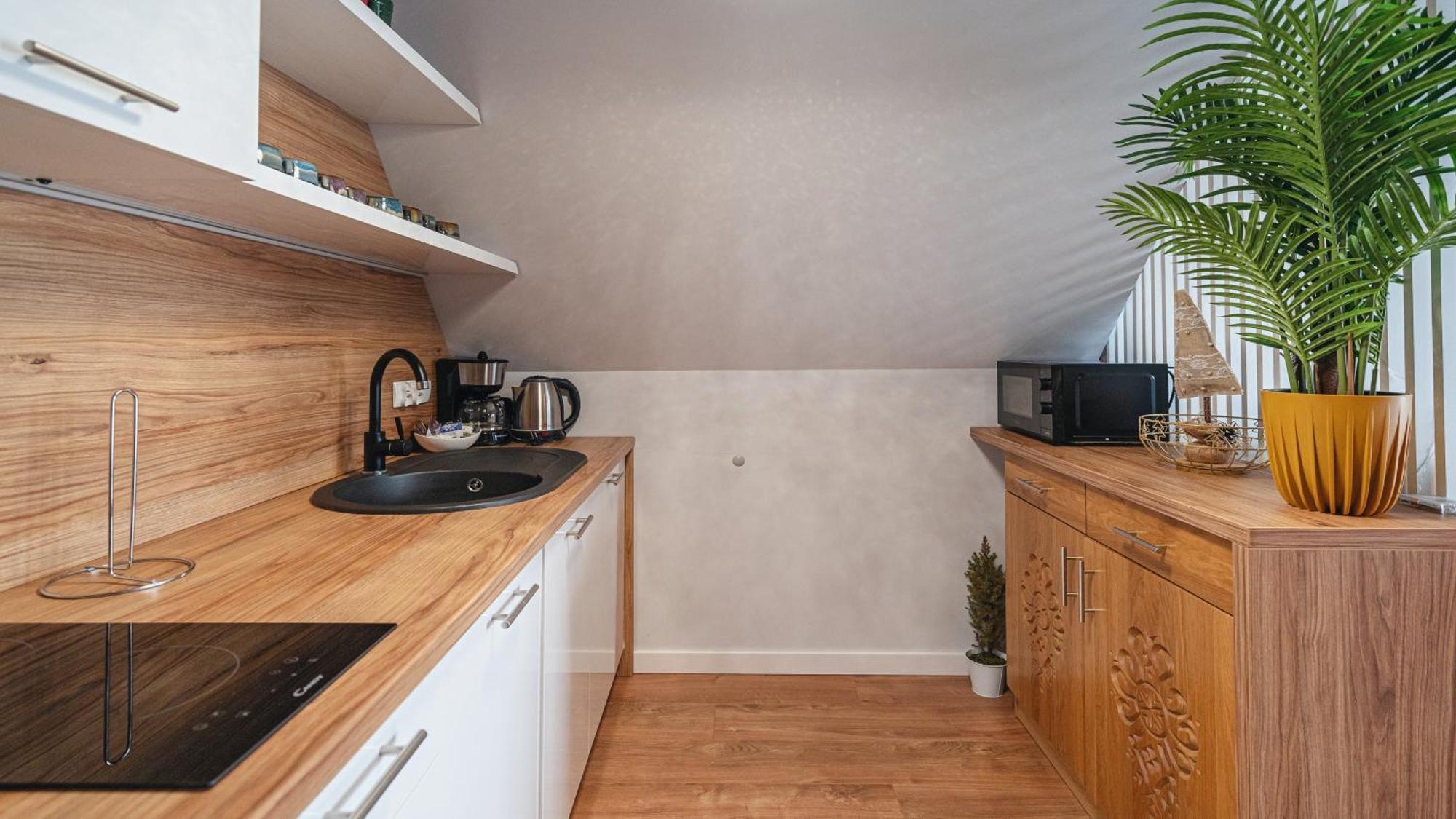 Sun & Snow E Z Sauna Apartment